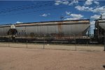 FMLX 51439